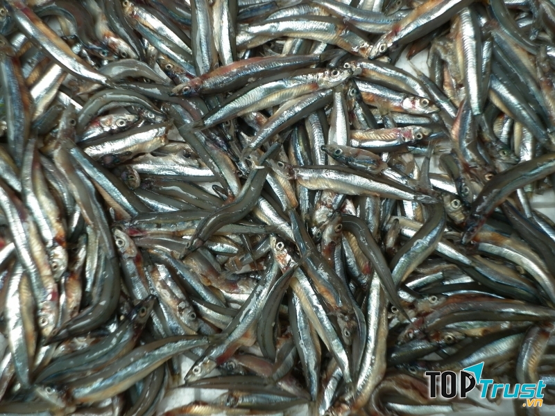 Lượng omega 3 từ cá cũng được chuyển vào trong nước mắm