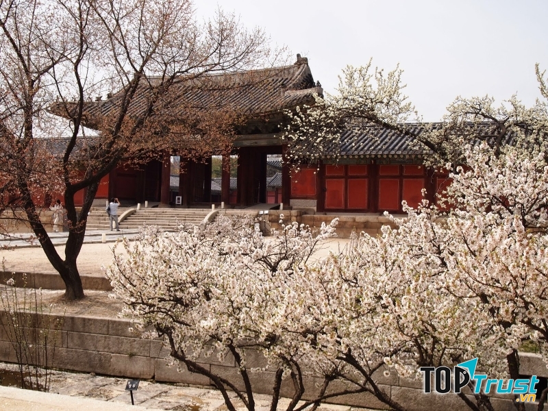 Changgyeonggung là một trong những cung điện cổ kính nhất ở Hàn Quốc