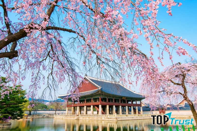 Bạn còn có cơ hội ngắm nhìn kiến trúc lộng lẫy của cung điện