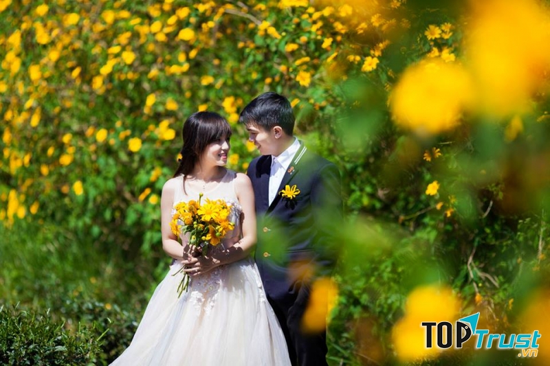 Chụp ảnh cưới đẹp rực rỡ với mùa hoa Dã Quỳ Đà Lạt