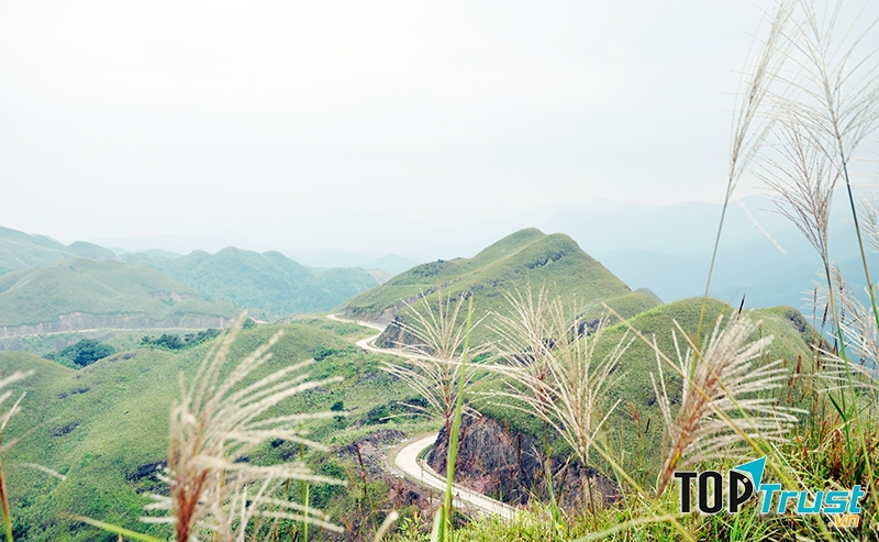 Biên cương Bình Liêu mùa hoa cỏ lau