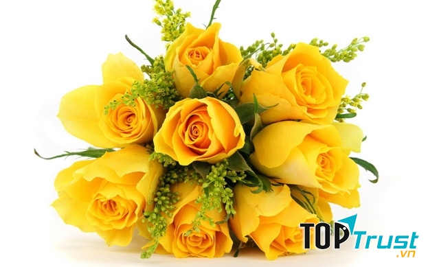 Song Tử nên ưu tiên màu vàng và cam nhạt để tạo nguồn cảm hứng bất tận