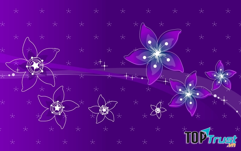 Sư Tử hãy ghi nhớ màu tím đầy quyền lực sẽ luôn mang đến sự may mắn, thành công