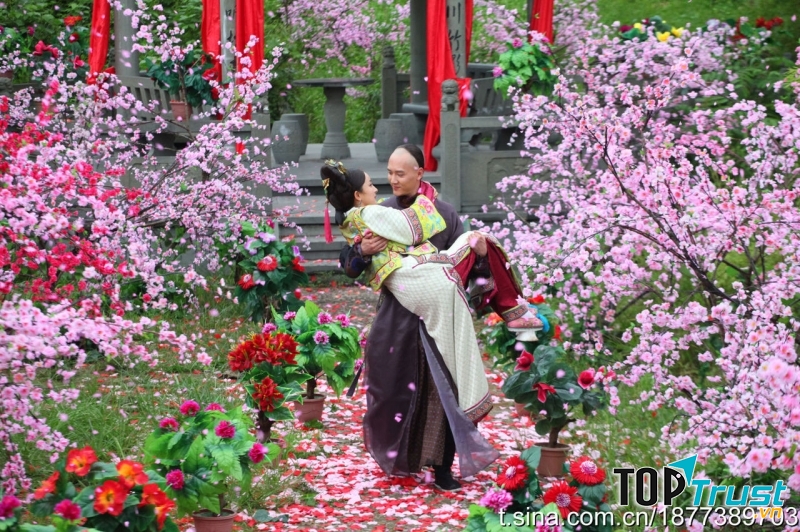 Tình Xuyên và Bát a ca