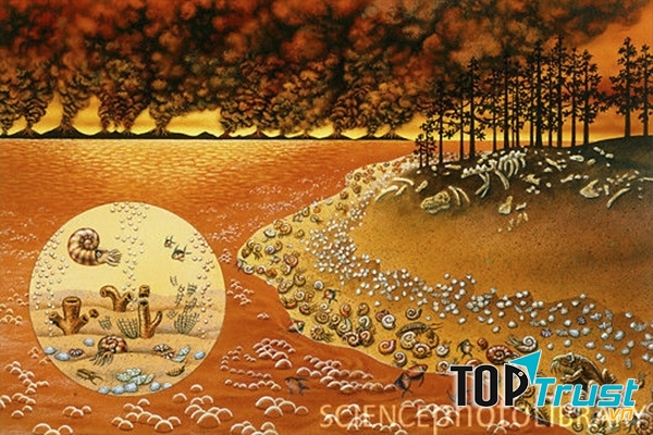 90% sinh vật biển đã bị tiêu diệt trong cuộc đại tuyệt chủng Permi - Trias