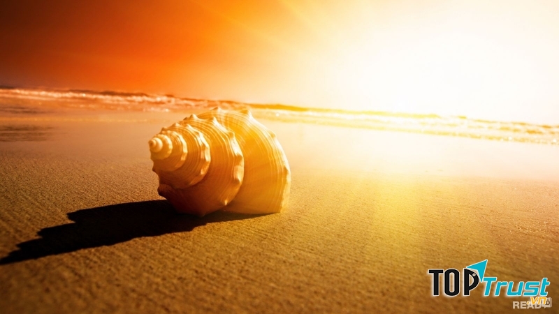 Cuộc sống có quá khó khăn, quá khắc nghiệt hay không, âu một phần cũng do lòng người