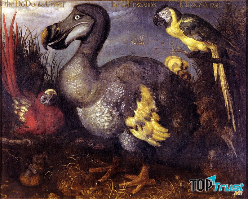 Cuộc tuyệt chủng Holocen