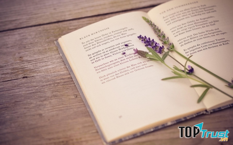 Một cuốn sách hay là ý tưởng không tồi để tặng cho nửa kia của mình trong ngày 14/2.