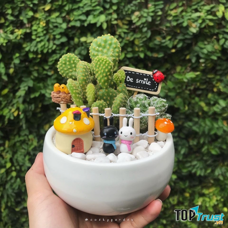 Cushy Garden