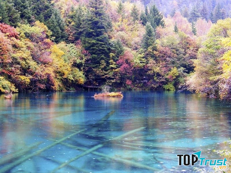 Mùa thu ở Cửu Trại Câu