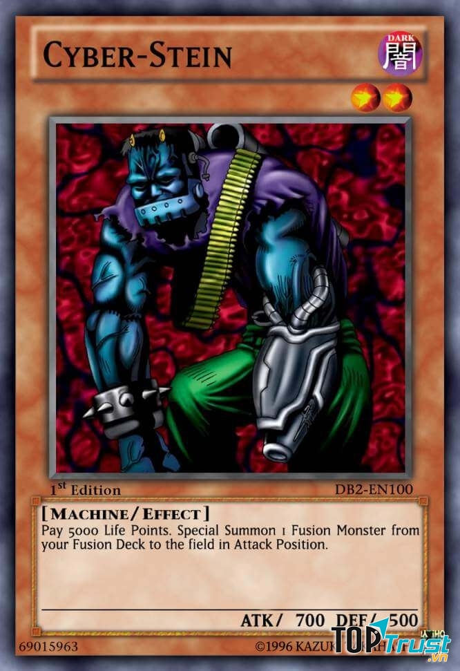 Cyber Stein