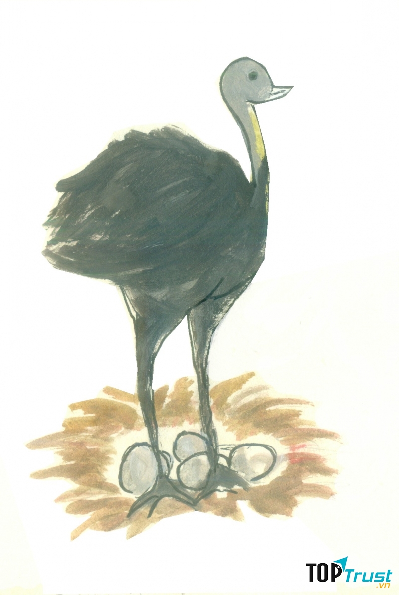 Ấp trứng là việc của anh