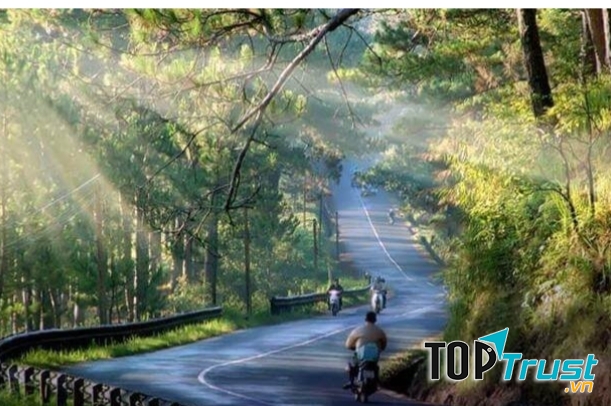 Một góc đường Đà Lạt