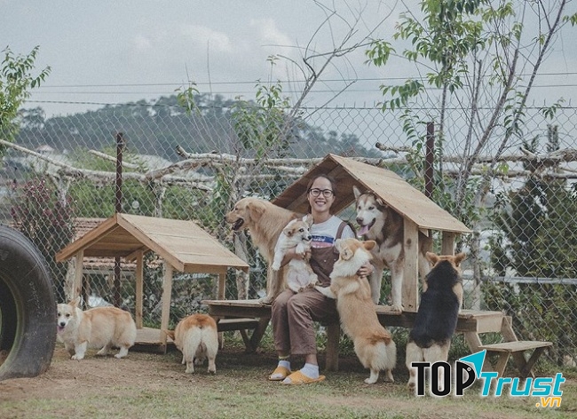 Alaska House là một quán cafe kết hợp mô hình nông trại