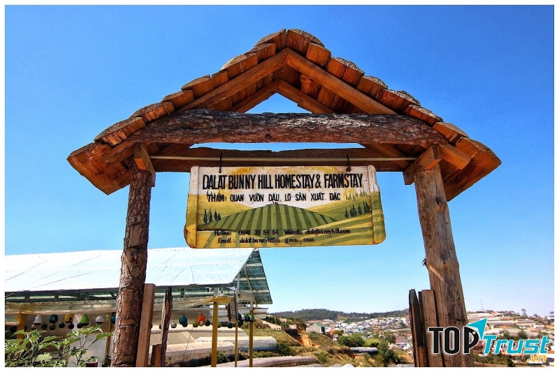 Dalat Bunny Hill