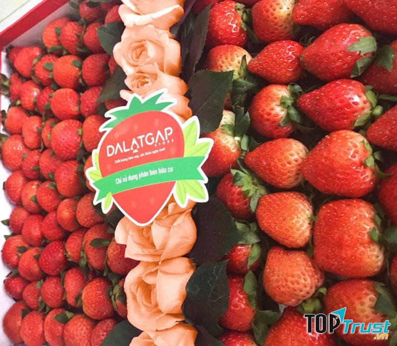 Dâu Tây Đà Lạt