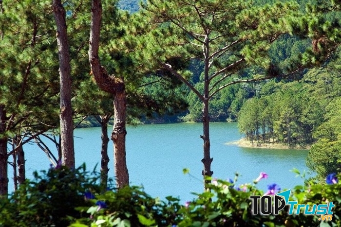 Thật đẹp, thật trữ tình!