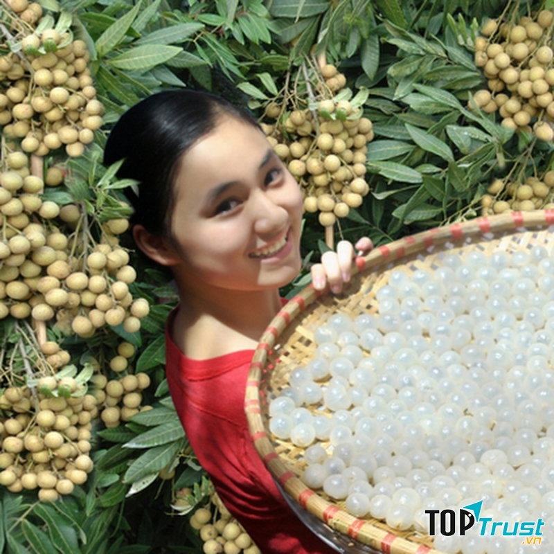 Nhãn lồng đặc sản Hưng Yên