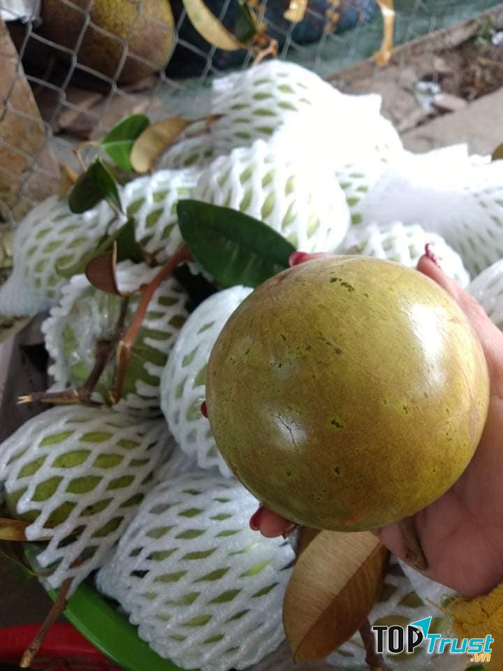 Đặc sản trái cây sạch Thuần Việt