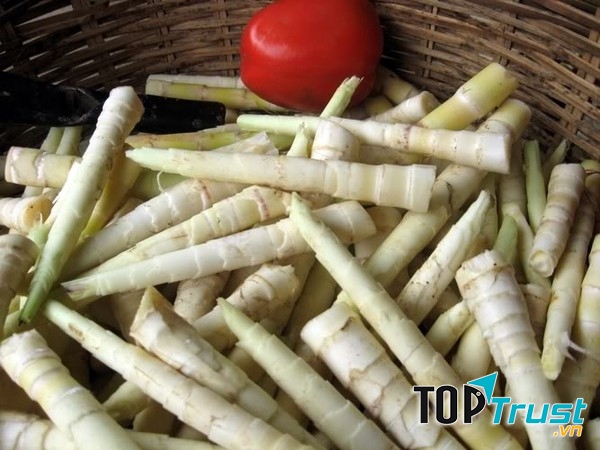 Măng trúc tươi Yên Tử