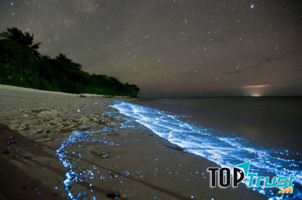 Hiện tượng đại dương phát quang