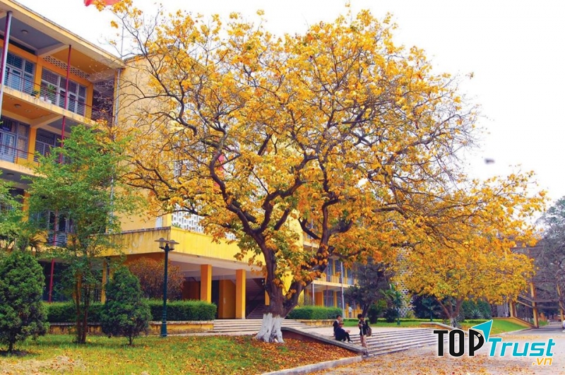 Trường Đại học Bách khoa Hà Nội