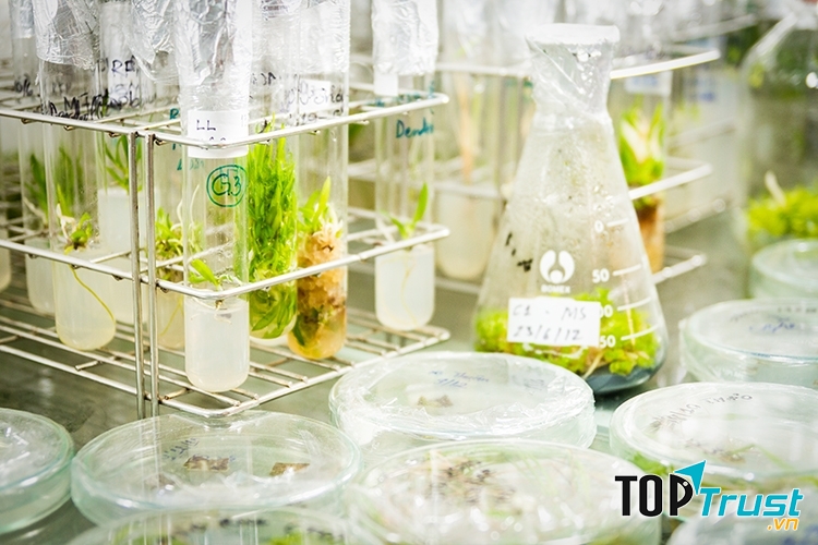 Một góc phòng thí nghiệm Công nghệ sinh học của trường.