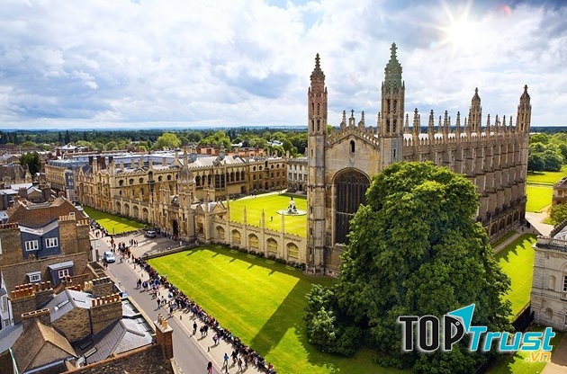 Trường bao gồm 6 trường đại học nhỏ, sở hữu 150 khoa và các viện khác