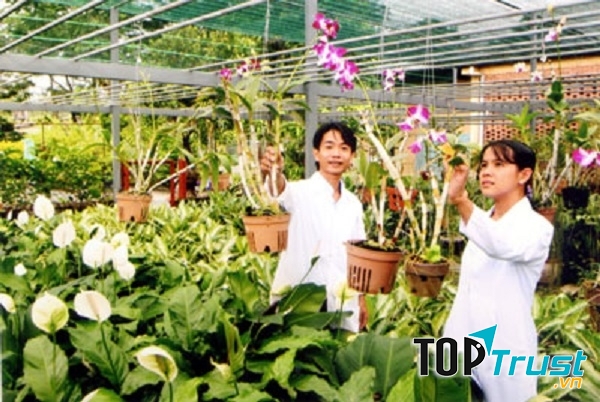 Sinh viên Công nghệ sinh học thực tập tại vườn lan của Viện Công nghệ sinh học