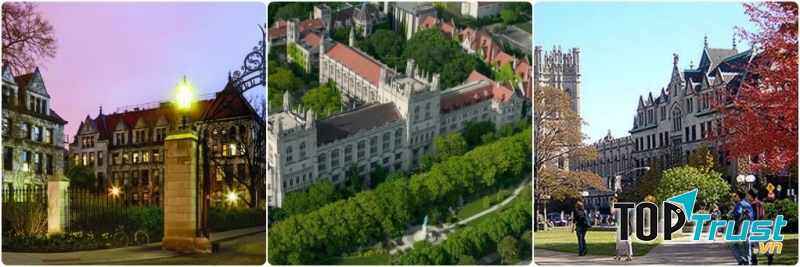 Một vài tòa nhà tại Đại học Chicago