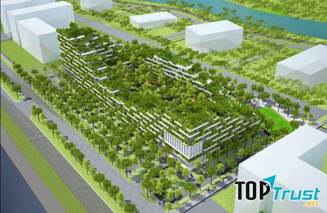 Sắc xanh ngập tràn ngôi trường này.