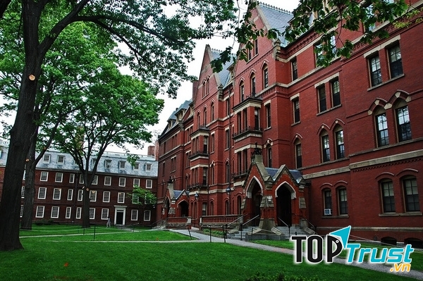 Harvard University được coi là trường đại học lâu đời và uy tín nhất tại nước Mỹ và tâm lý học là một trong ngành mũi nhọn