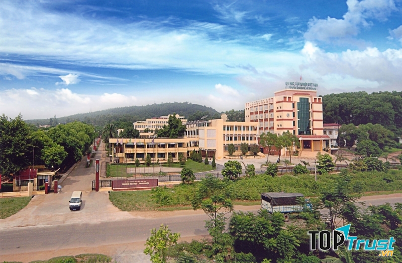 Đại học Lâm nghiệp