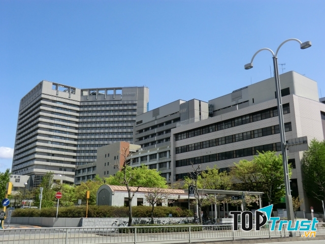 Đại học Nagoya sở hữu một bệnh viện, có 15 trường đào tạo chuyên ngành và 7 trường đào tạo đại học