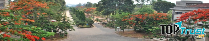 Đại Học Nông Lâm Thành Phố Hồ Chí Minh
