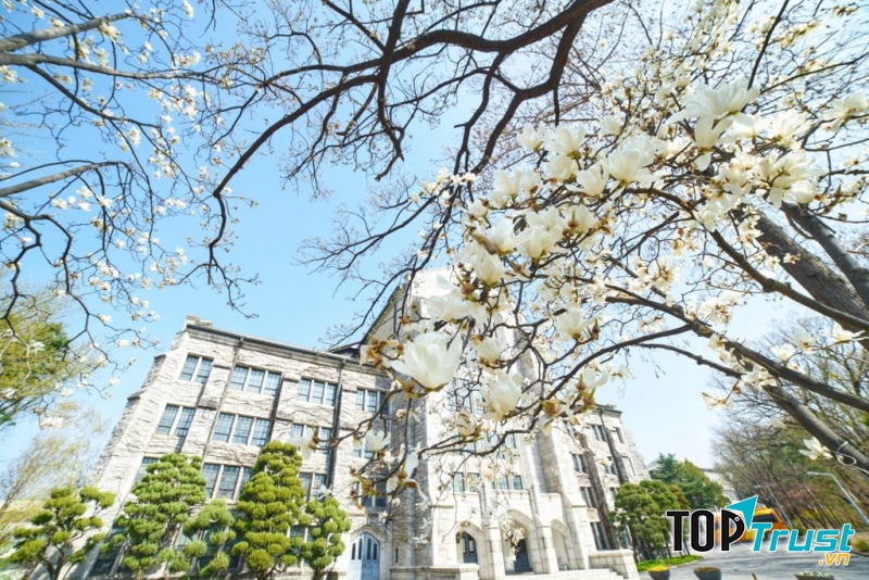 Đại học nữ Ewha