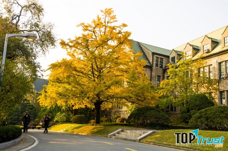Khung cảnh mùa thu thanh bình tại Đại học Ewha.