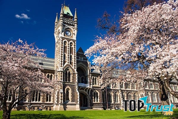 Đại học Otago