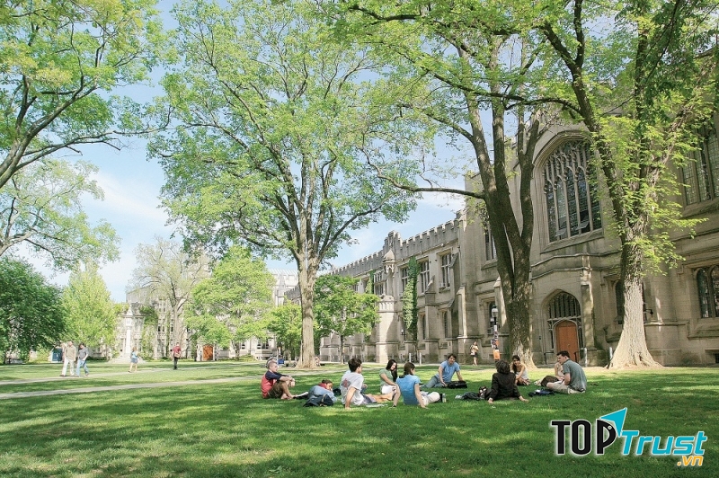 Khung cảnh trong lành và bình yên ở Đại học Princeton