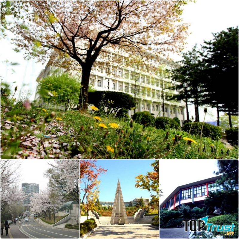 Những hình ảnh tuyệt đẹp tại Đại học Sogang.