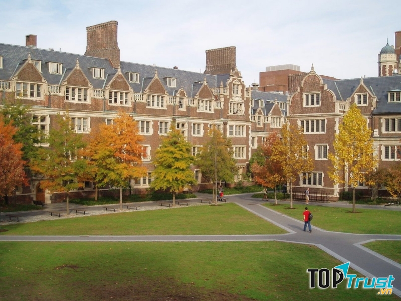 Khung cảnh thơ mộng tại Đại học Stanford.