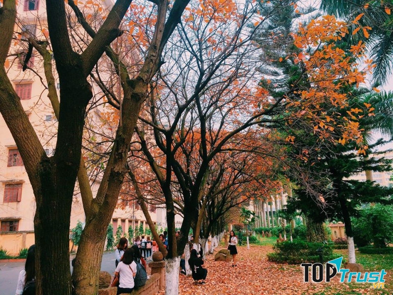 Con đường tình yêu nổi tiếng của ĐH Sư phạm