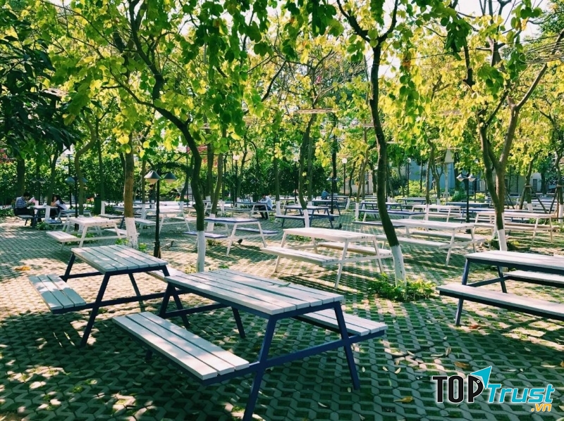 Thiết kế như mơ tại Đại học Thăng Long