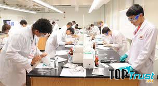 Bác sĩ đa khoa ở Đại học Y Hà Nội - Phân hiệu Thanh Hóa