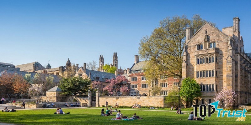 Đại học Yale