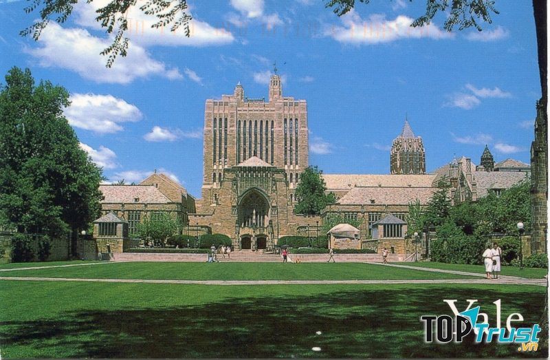 Đại học Yale, Mỹ