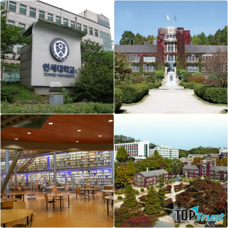 Đại học Yonsei.