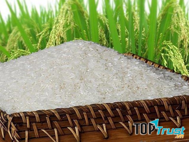 Đại lý gạo An Thành phân phối gạo ngon, giá rẻ