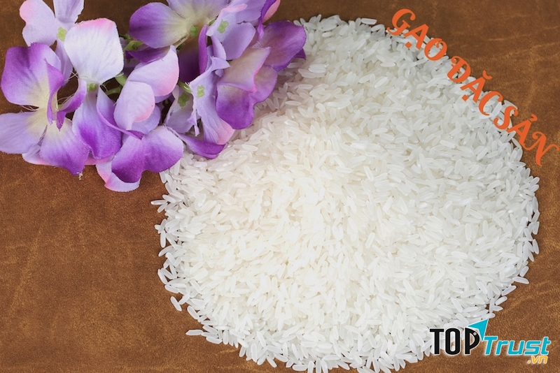 Đại lý gạo Hoa Gạo cung cấp các loại gạo chất lượng cao, uy tín.