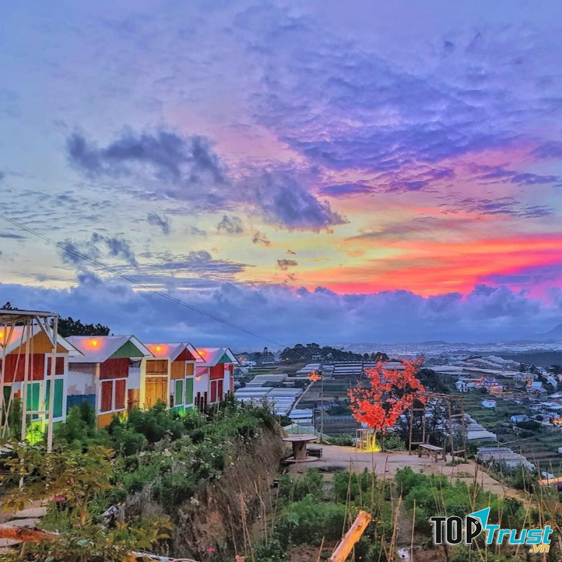 Đại Lý Máy Bay Aloha